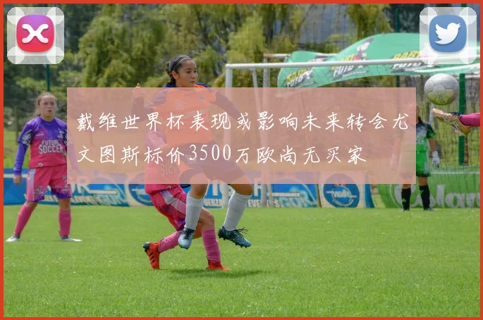 戴维世界杯表现或影响未来转会尤文图斯标价3500万欧尚无买家